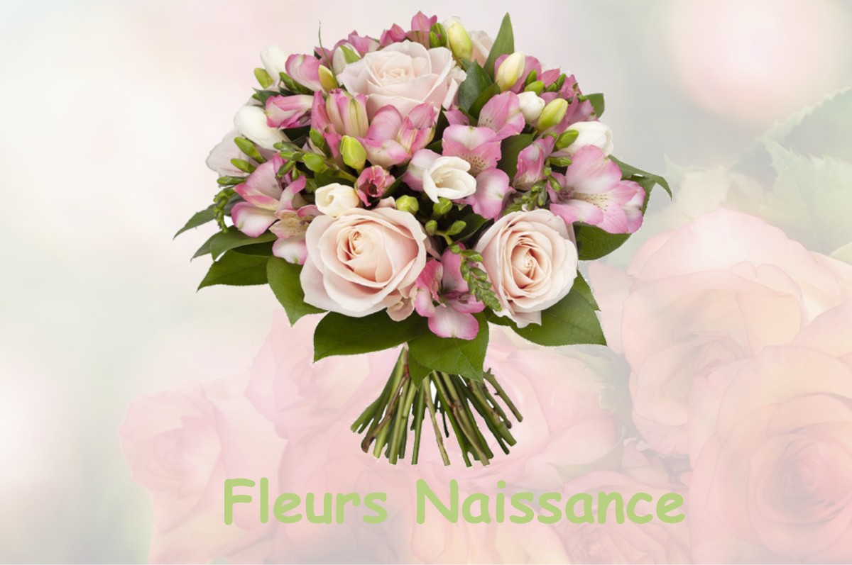 fleurs naissance LA-FRESNAYE-SUR-CHEDOUET